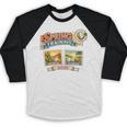 Spring Training 2026 Retro Postcard Baseball Premium Tri-Blend Baseball Raglan Shirt