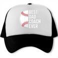 Best Baseball Dad Coach Ever Retro Father Baseball Coach Dad Premium Trucker Cap