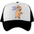 Capybara Calm Your Mitts Baseball Mom Sport Lover Tee Trucker Cap