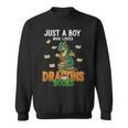 Just a Boy Who Loves Dragons And Books Reading Dragon Sweatshirt