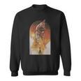 Star Wars The Book Of Boba Fett Ship Tatooine Sweatshirt