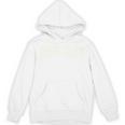 Vintage Book Club Classic Librarian Bookworm Premium Tri-Blend Unisex Hoodie