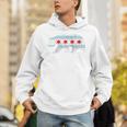 Sweet Vintage Retro Chicago City Flag Bear Print Raglan Baseball Tee Unisex Hoodie Sweet Vintage Retro Chicago City Flag Bear Print Raglan Baseball Tee Unisex Hoodie