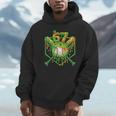 Baseball Drip St Patricks Day Boys Baseball St Patricks Day Unisex Hoodie