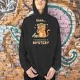 Shhh I'm Solving A Mystery Cat Detective Book Lover Men Hoodie