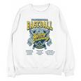 Professional Baseball Spring Training 2026 Florida Cities Unisex Sweatshirt Professional Baseball Spring Training 2026 Florida Cities Unisex Sweatshirt