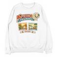 Spring Training 2026 Retro Postcard Baseball Premium Tri-Blend Unisex Sweatshirt Spring Training 2026 Retro Postcard Baseball Premium Tri-Blend Unisex Sweatshirt