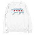 Sweet Vintage Retro Chicago City Flag Bear Print Raglan Baseball Tee Unisex Sweatshirt Sweet Vintage Retro Chicago City Flag Bear Print Raglan Baseball Tee Unisex Sweatshirt