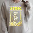 Stoic Philosophy Vintage Book Cover Stoicism Philosopher Raglan Sleeve Sweatshirt Heather Forest