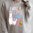 A Whole Llama Learning Going On Book Reading School Llama Raglan Sleeve Sweatshirt Heather Forest