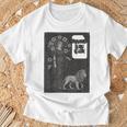 Spenser's Faerie Queene Literary Classic Book Art T-Shirt Gifts for Old Men