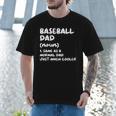 Baseball Dad Definition Men T-Shirt