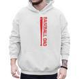 Baseball Dad Baseball American US Flag Baseball Sport Team Premium Men Hoodie