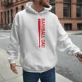 Baseball Dad Baseball American US Flag Baseball Sport Team Premium Men Hoodie