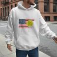Patriotic Softball Dad Like A Baseball Dad Raglan Baseball Tee Men Hoodie