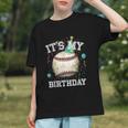 Its My Birthday Vintage Baseball Celebration For Men Kids Graphic Youth Its My Birthday Vintage Baseball Celebration For Men Kids Graphic Youth