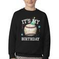 Its My Birthday Vintage Baseball Celebration For Men Kids Youth Crewneck Sweatshirt Its My Birthday Vintage Baseball Celebration For Men Kids Youth Crewneck Sweatshirt