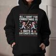 Christmas Baseball Bats Catcher Mitts Holiday Tee Graphic Youth Hoodie