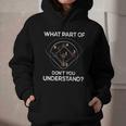What Part Of Dont You Understand 6432 Baseball Graphic Youth Hoodie