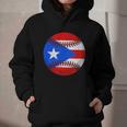 Puerto Rico Baseball Flag Boricua Beisbol Fan Gear Graphic Youth Hoodie Puerto Rico Baseball Flag Boricua Beisbol Fan Gear Graphic Youth Hoodie