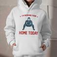 I'm Working From Home Today Baseball Lover Men Women Graphic Youth Hoodie I'm Working From Home Today Baseball Lover Men Women Graphic Youth Hoodie