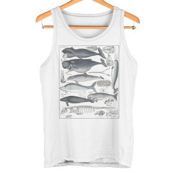 ヴィンテージ クジラ イラスト 生物学 科学 海 タンクトップ - Kawaiitshirt