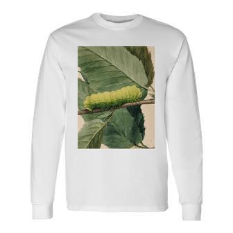 月の毛虫、ビンテージ昆虫画、ルナの幼虫 M 長袖Tシャツ - Kawaiitshirt