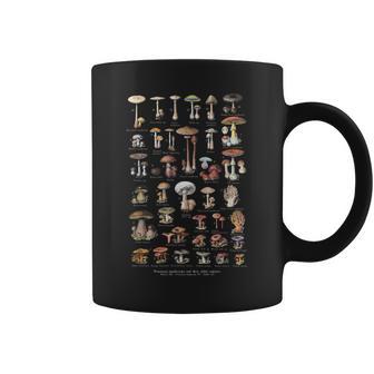 Champignonsintage Avec Nom Anglais – Le Meilleur Collecteur De Champignons Du Monde Tasse - Cadeauxyz