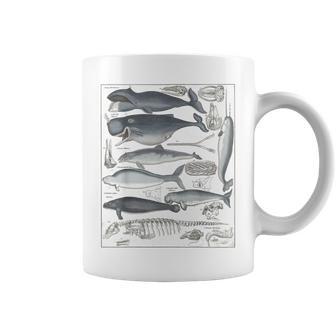 ヴィンテージ クジラ イラスト 生物学 科学 海 コーヒーマグ - Kawaiitshirt