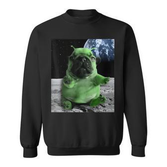 Alien Pibble Brainrot Sweatshirt - Thegiftio UK