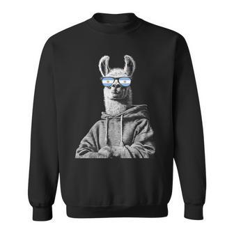Argentina Pride Argentinian Flag Sweatshirt - Thegiftio UK