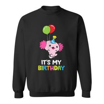 Axolotl Geburtstag Es Ist Mein Geburtstag Axolotl Sweatshirt - Seseable