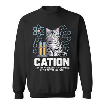 Cation An Ion Avec La Charge Interactive Des Pattes Le Plus Mignon Des Chats Sweater e - Cadeauxyz