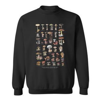 Champignonsintage Avec Nom Anglais – Le Meilleur Collecteur De Champignons Du Monde Sweater e - Cadeauxyz