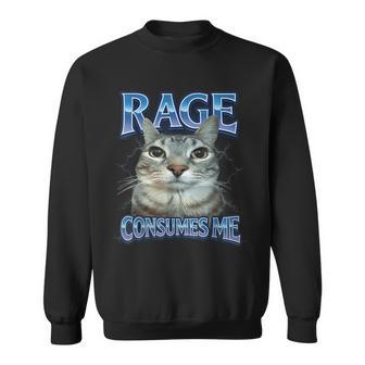 Cute Cat Rage Consumes Me Silly Staring Cat Meme Cat Sweatshirt - Thegiftio UK