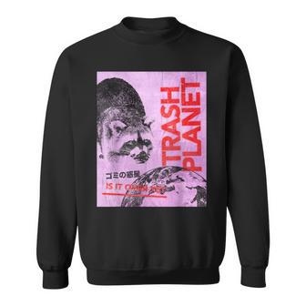 Japanese Retro Vintage Y2k Streetwear Raccoon Graphic Sweatshirt - Thegiftio