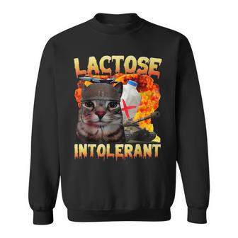 Lactose Intolerant Silly Cat Meme Saying Cat Lover Sweatshirt | Seseable UK