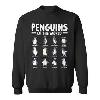 Penguins Of The World Sea Animal Lover Penguin Types Sweatshirt | Seseable UK