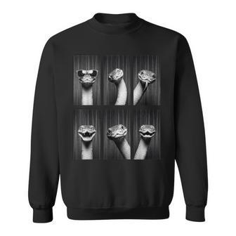 Snake Photobooth Reptile Animal Portrait Sweatshirt - Thegiftio UK