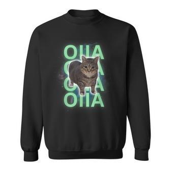 Spinnende Katze Meme Oiiaoiia Uiia Cat Brainrot Meme Sweatshirt - Seseable