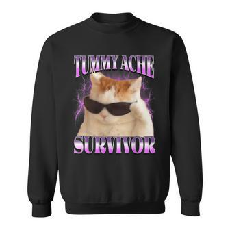 I Survived Today's Tummy Ache Cat Meme Cats Sweatshirt - Thegiftio UK