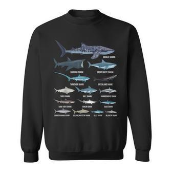 Types Of Sharks Shark Identification Shark Species Sweatshirt - Thegiftio UK