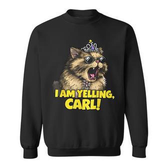 I Am Yelling Carl Donut Cat Sweatshirt - Thegiftio UK