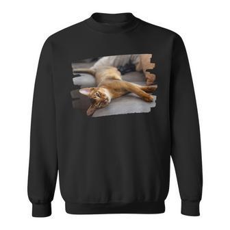 アビシニアン・フェリス・カタス スウェットシャツ - Kawaiitshirt