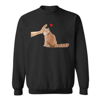 エキゾチックショートヘア猫エキゾチックショートヘア スウェットシャツ - Kawaiitshirt