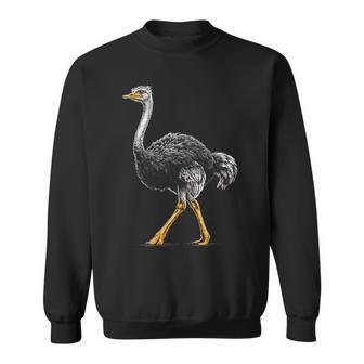 ダチョウ ポートレート 動物 モチーフ 描画 鳥 アート 長袖tシャツ スウェットシャツ - Kawaiitshirt