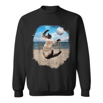 ビーチバレーボールをするシャム猫 スウェットシャツ - Kawaiitshirt