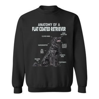 フラットコートレトリバーの解剖学 スウェットシャツ - Kawaiitshirt