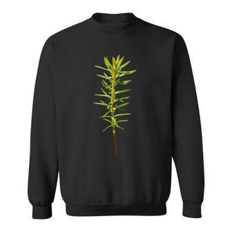 林業と森林再生 スウェットシャツ - Kawaiitshirt