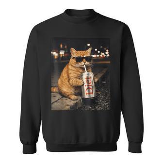 面白いナイトライフ オレンジ 猫 飲酒 ダイエット ドリンク サングラス スウェットシャツ - Kawaiitshirt
